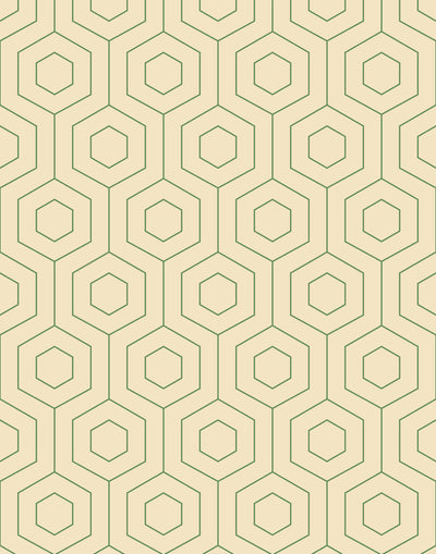 Hive