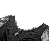 Dark in Love Classic Gothic Velvet & Lace Embroidered Dress