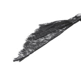 Dark In Love Gothic Deep-V Lace Bell Sleeve Cape