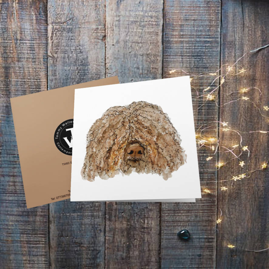 Spanish Water Dog Greetings Card