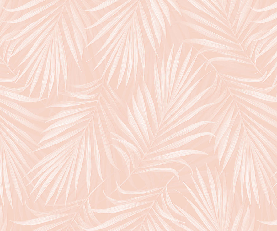 Areca