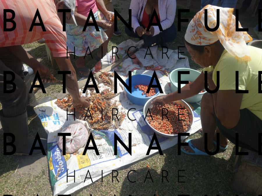 Pure Batana Oil 100ml | 100% Honduran Batana Oil Hair Repair Treatment
