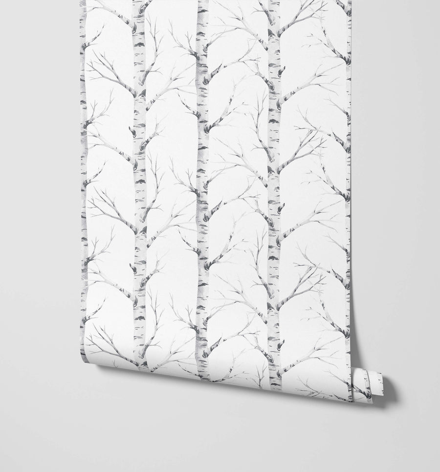 Birch
