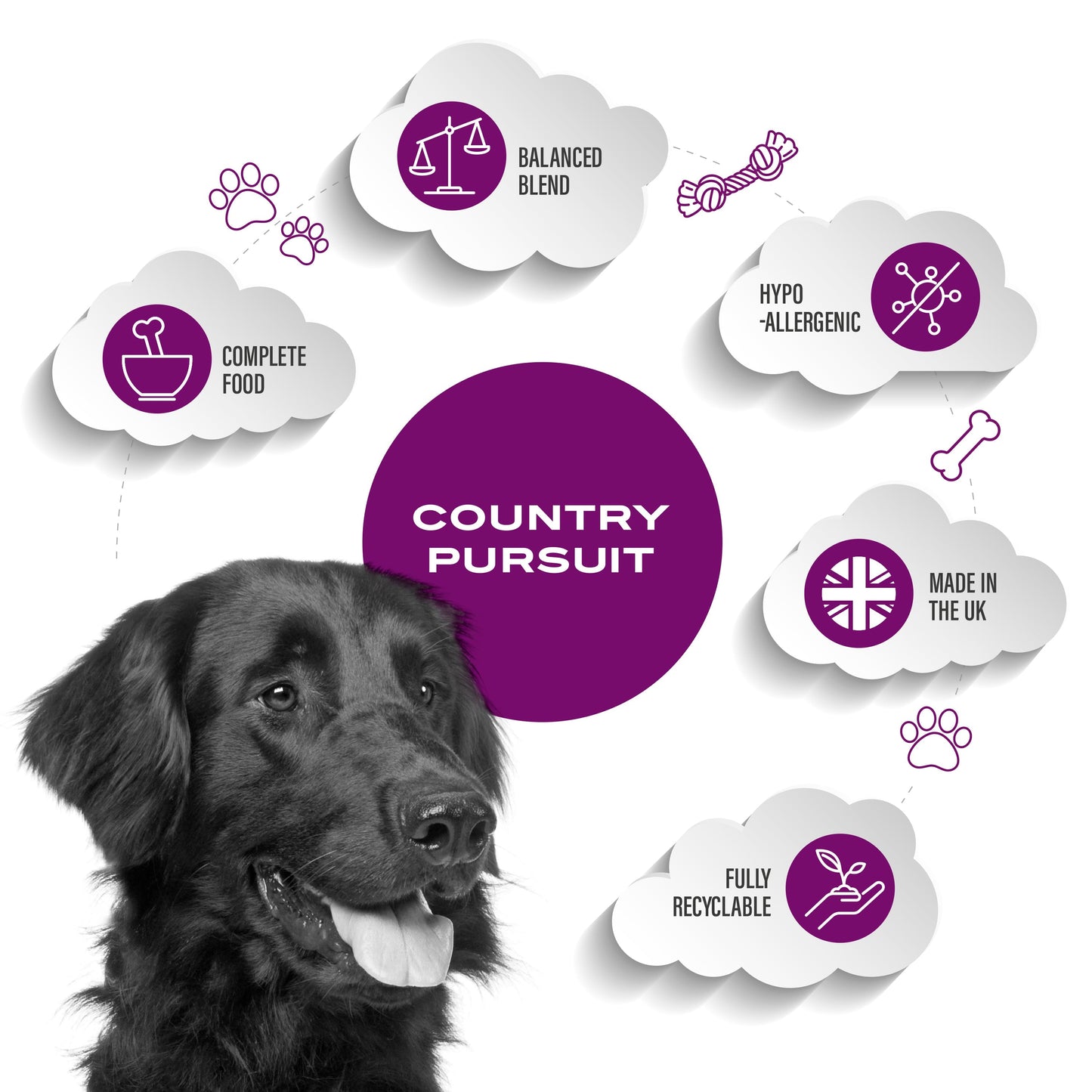 Country Pursuit Premium Lamb, Rice & Tripe - Premium Range - 300g Sample