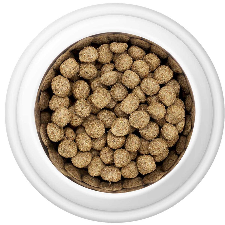 Country Pursuit Maintenance Lifestyle Adult Dog Food 15kg