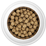Country Pursuit Maintenance Lifestyle Adult Dog Food 300g Sample