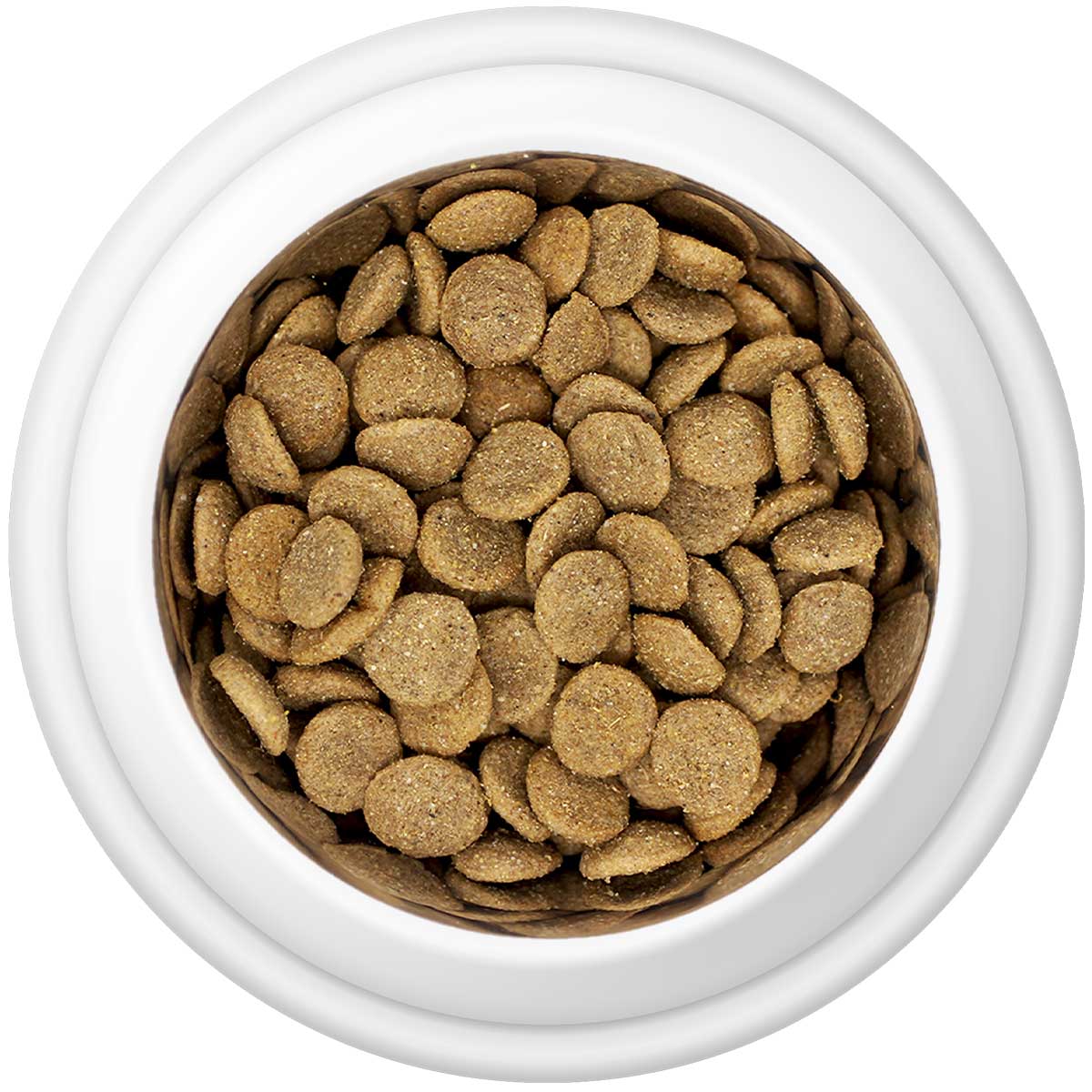 Country Pursuit Premium Chicken & Rice Adult Dry Dog Food - 300g Sample