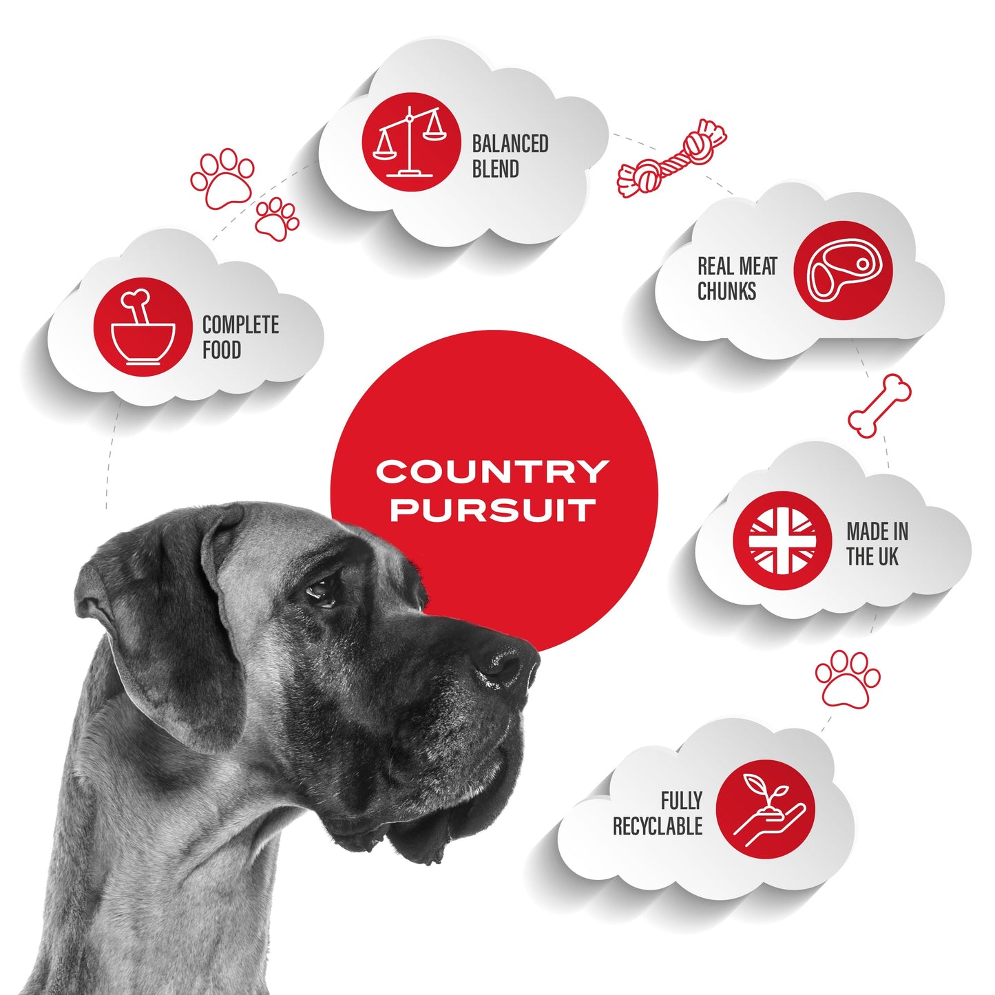 Country Pursuit Muesli Complete Adult Semi-Moist Dog Food 300g Sample