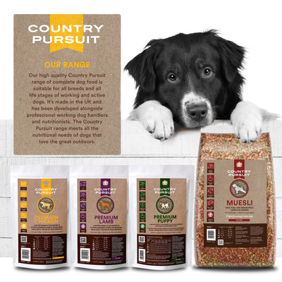 Country Pursuit Premium Chicken & Rice Adult Dry Dog Food - 300g Sample