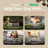 Multivitamin Treats
