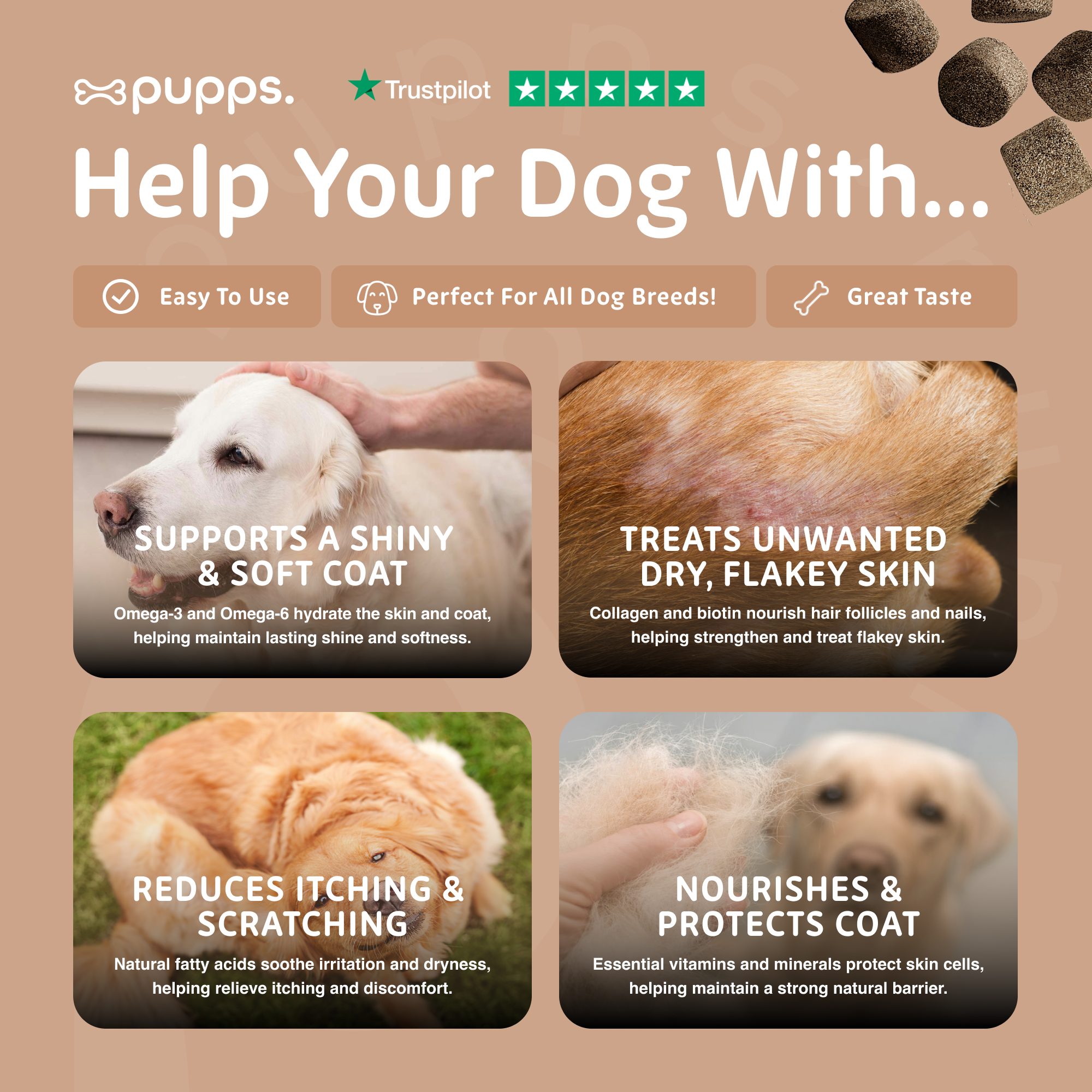 Skin & Coat Treats