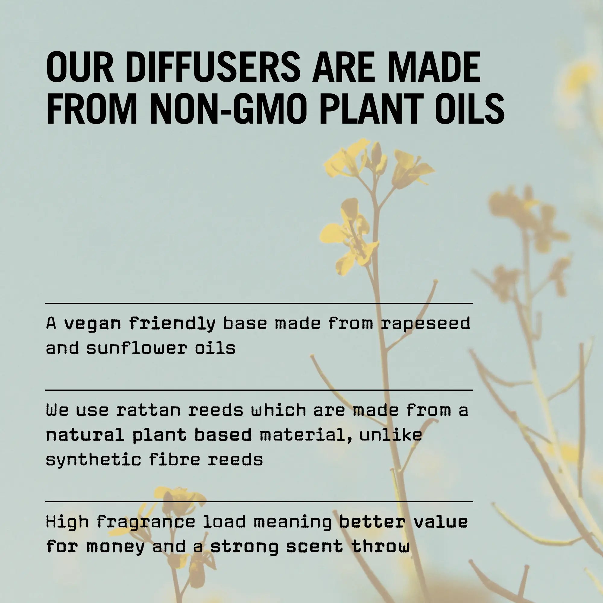 Sugi 100ml Reed Diffuser