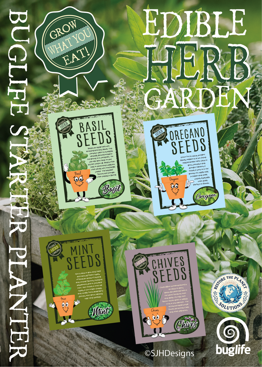 Schools Herb Starter Planter Set