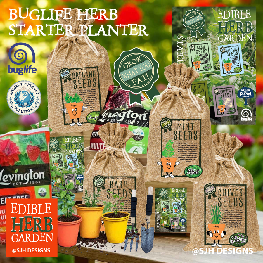 Schools Herb Starter Planter Set