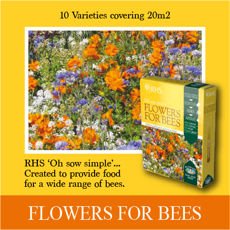 RHS Shake and Sow Flowers for Bees