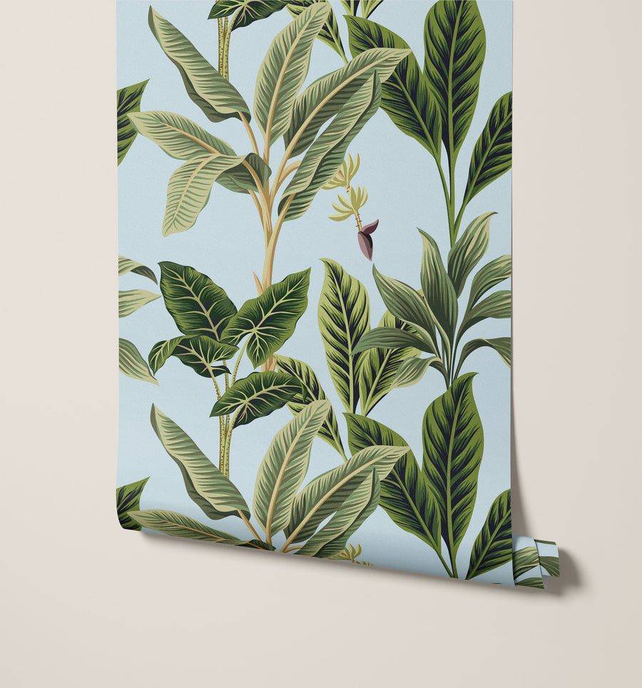 Flora