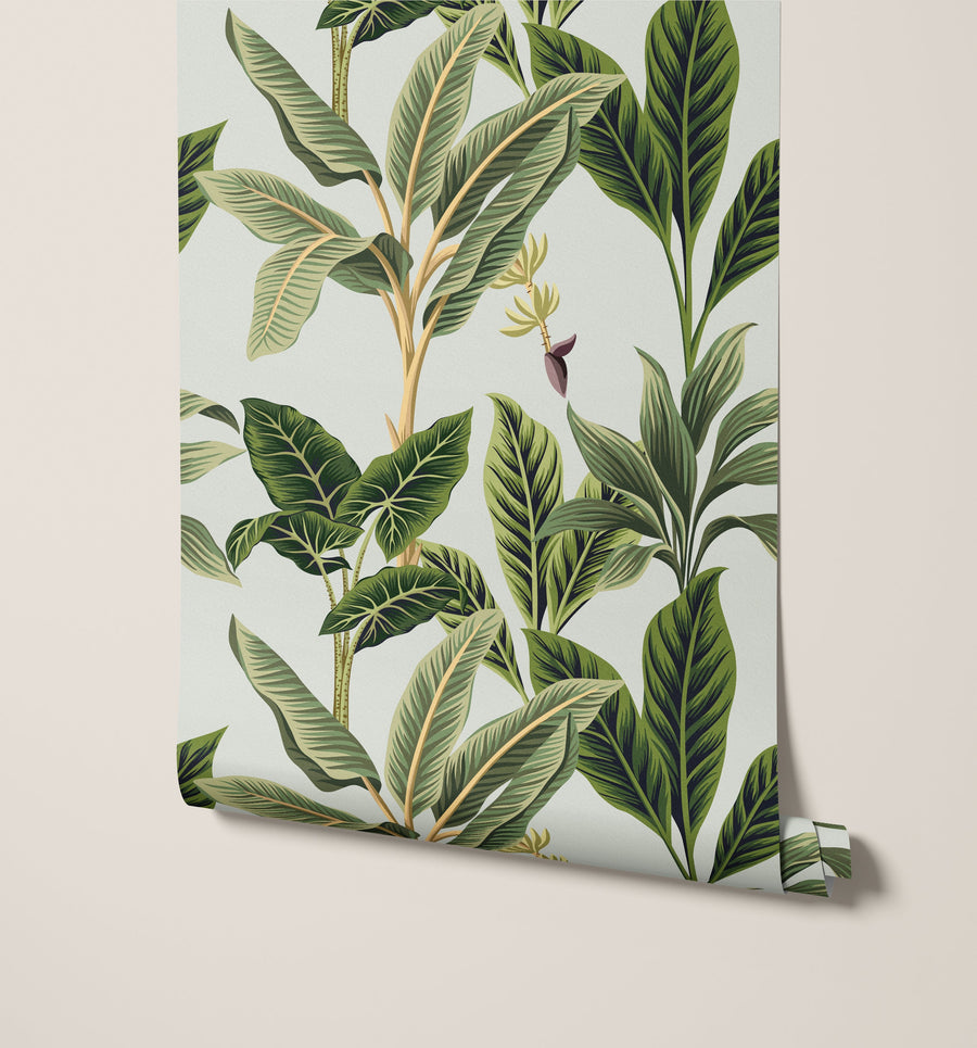 Flora