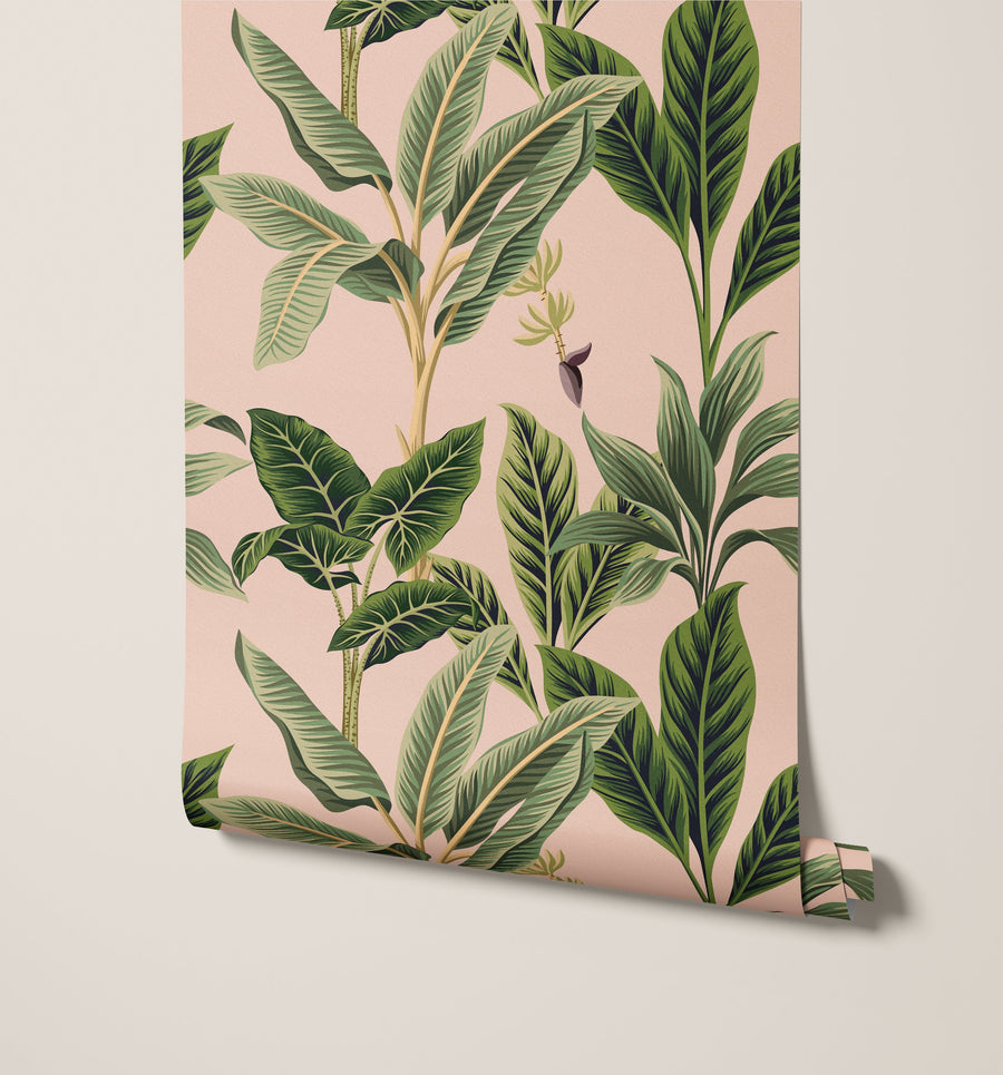 Flora