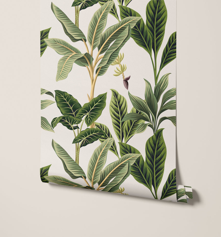 Flora