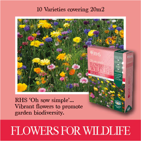 RHS Shake and Sow Wildflower Bright Mix