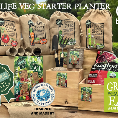 Schools Vegetable Starter Planter Set