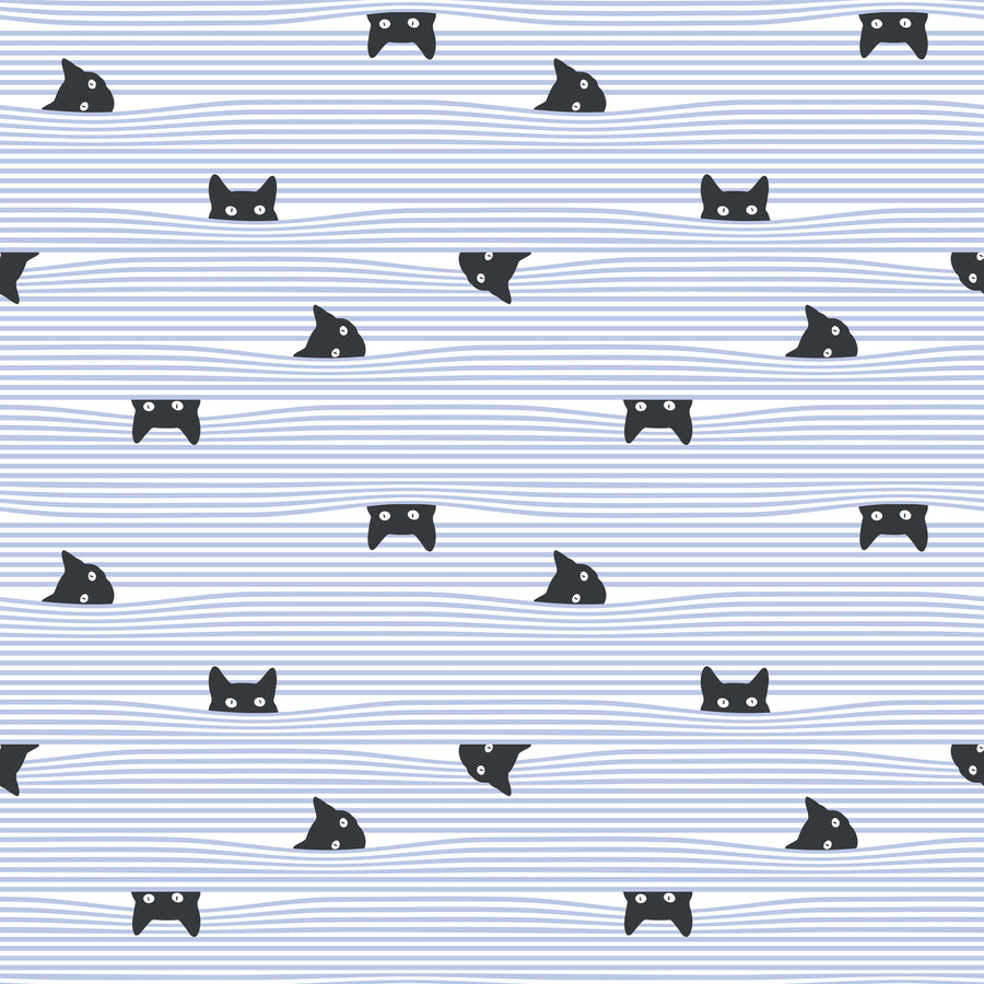 Gato