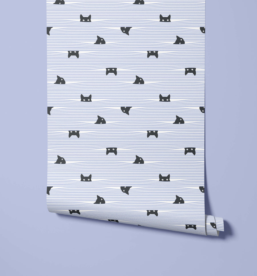 Gato