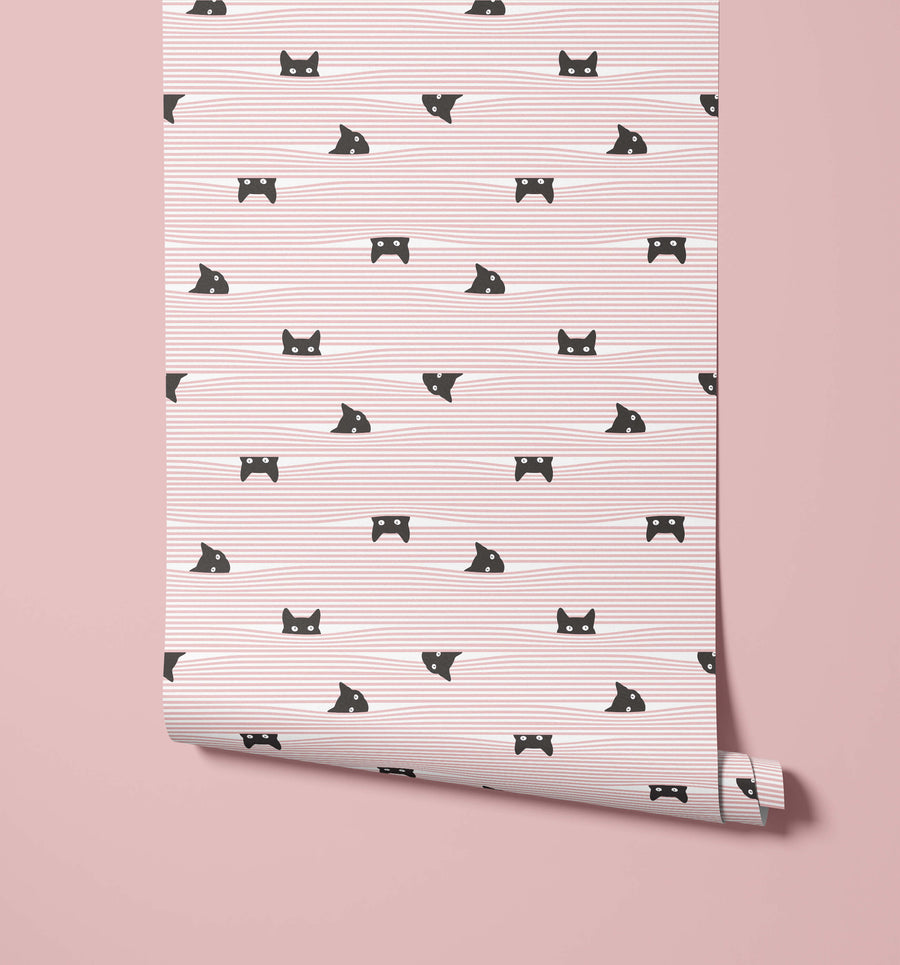 Gato