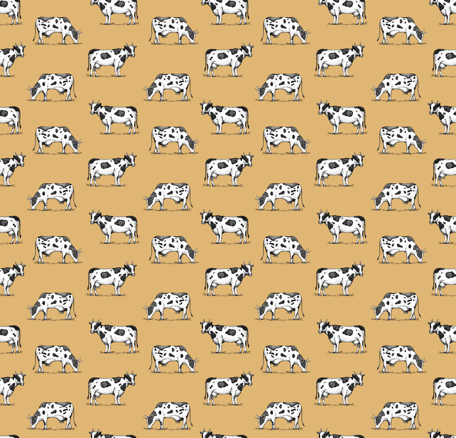 Graze