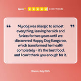Pure Kangaroo Wet Dog Food (Australia)