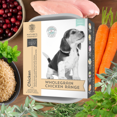 Chicken & Vegetables with Brown Rice - Puppy