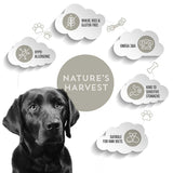 Nature’s Harvest Hypoallergenic Mixer with Prebiotic - 300g Sample