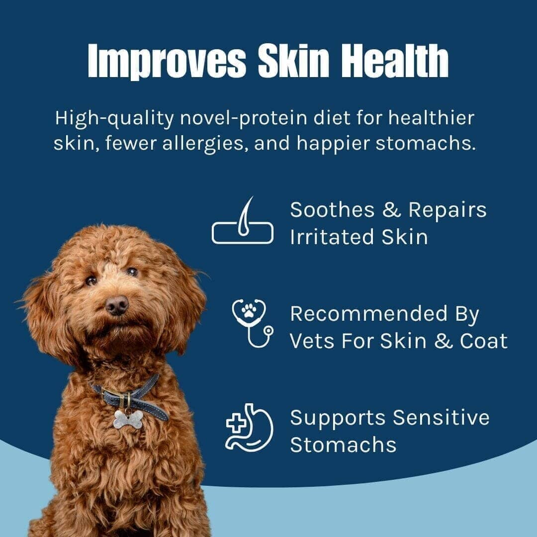 Mini Montana