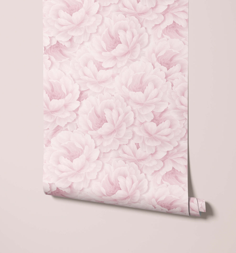 Paeonia