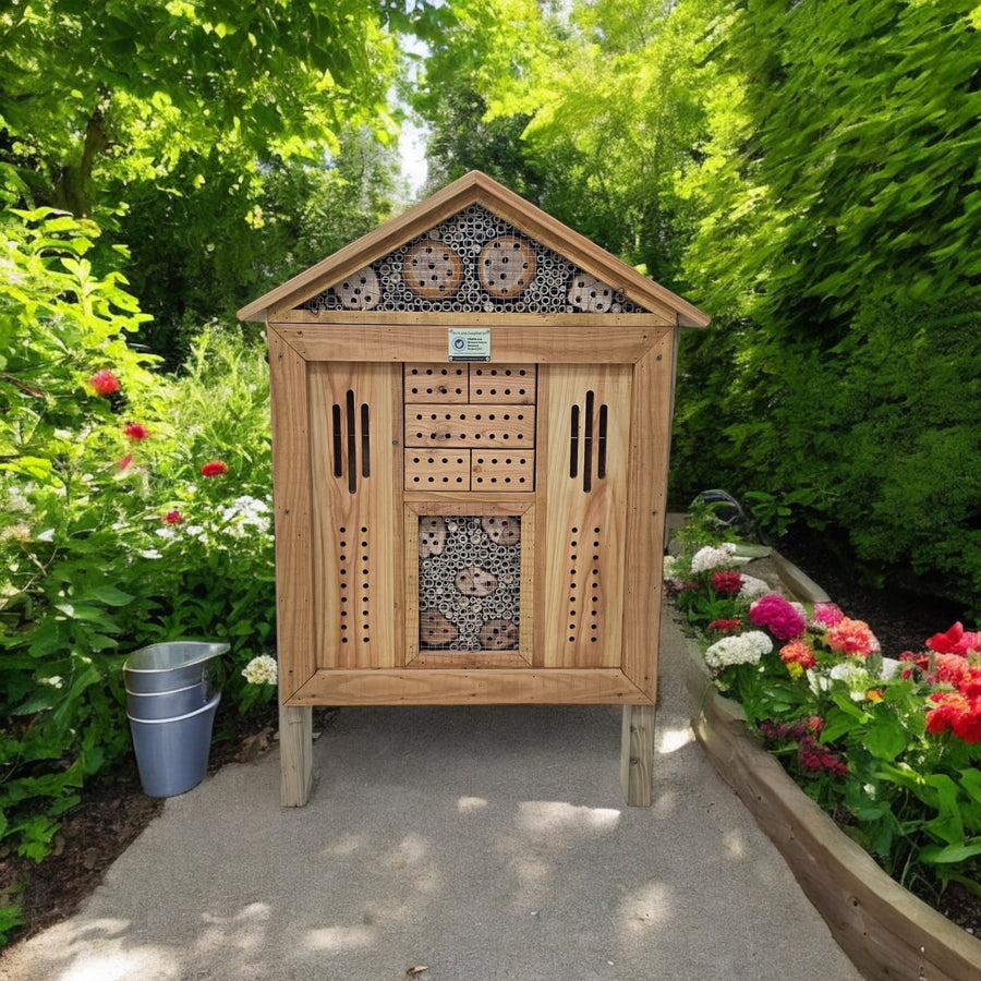 Urban Giant Conservation Bug and Hotel