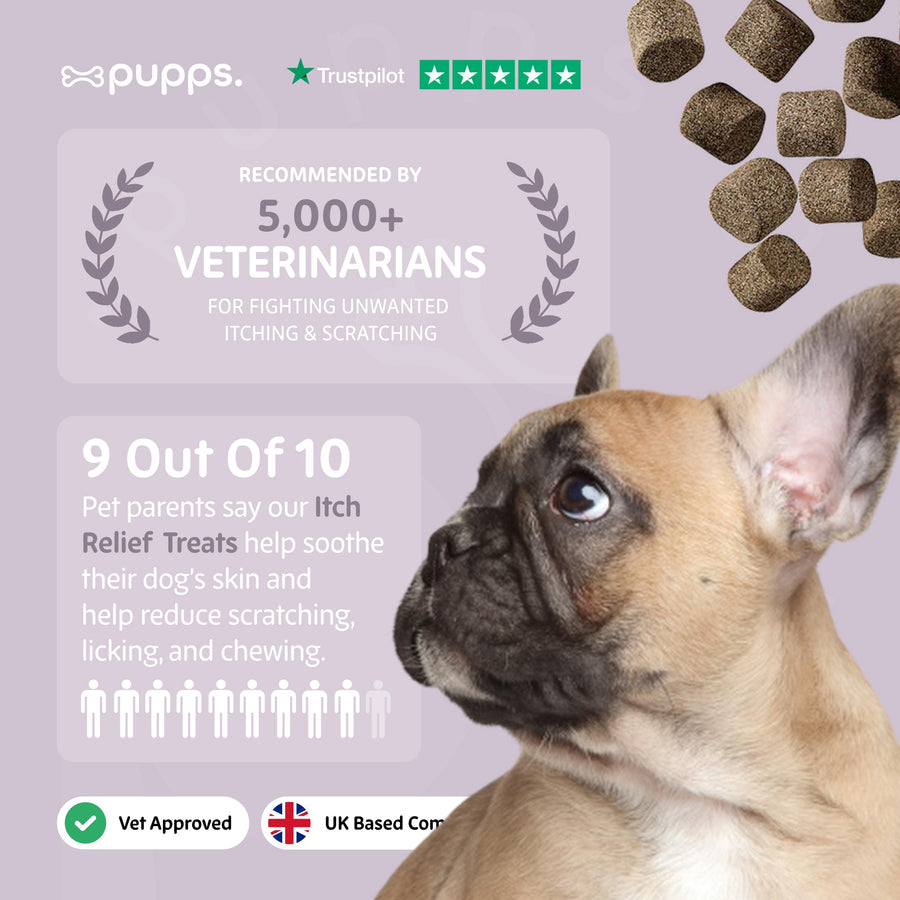 Itch Relief Treats