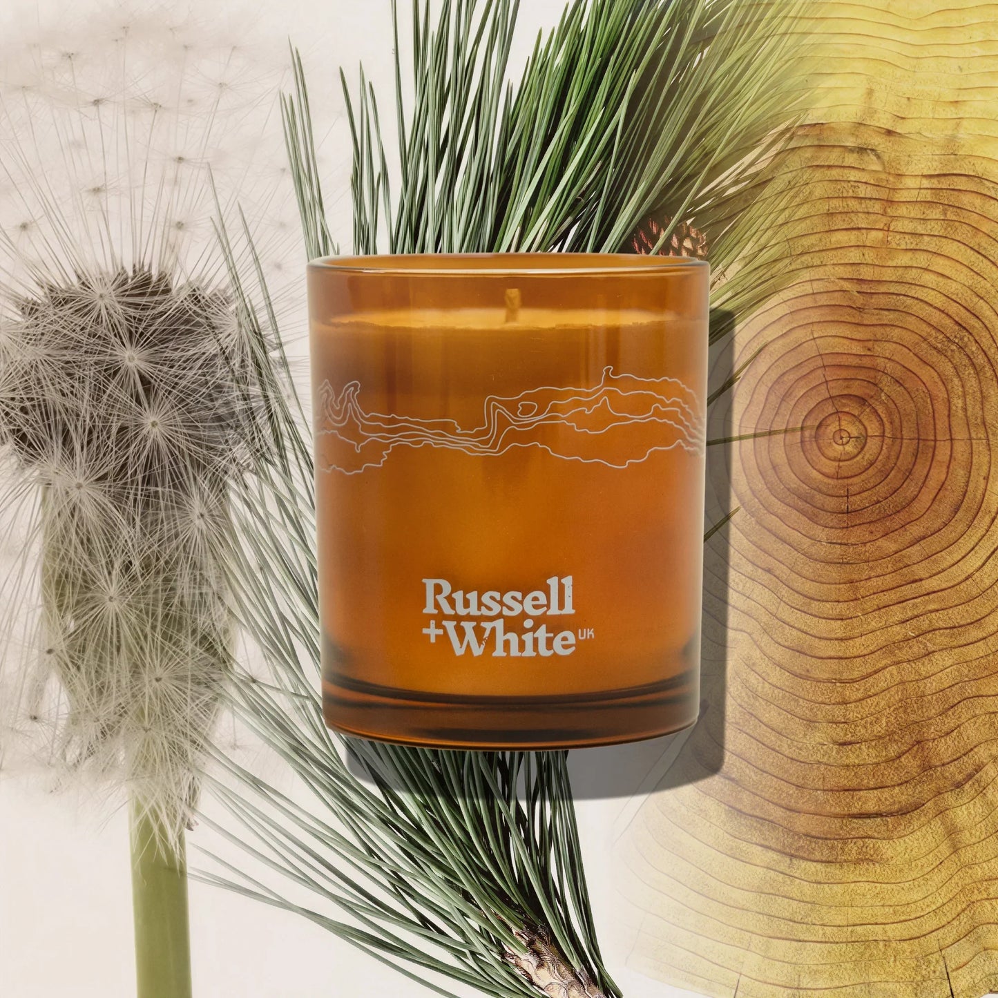 Sequoia 250g Scented Soy Candle