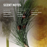 Sequoia 250g Scented Soy Candle