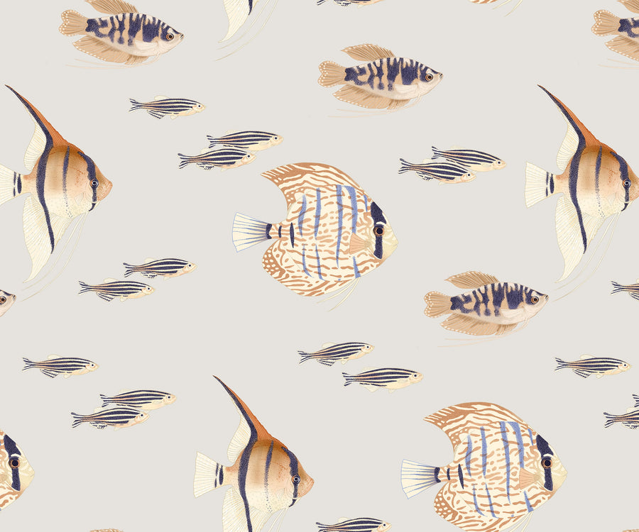 Shoal