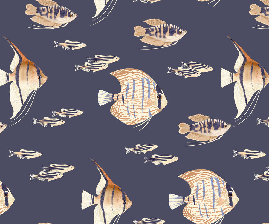 Shoal