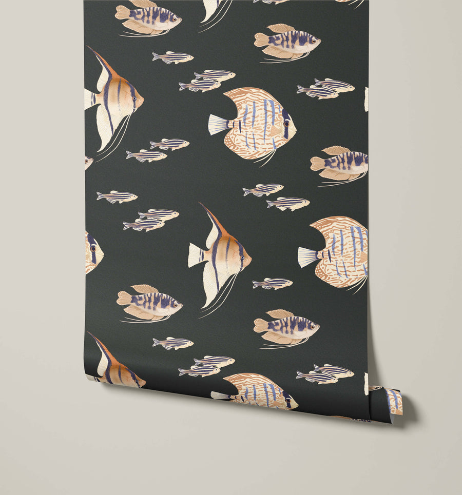 Shoal