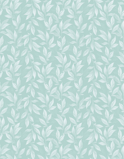 Vine