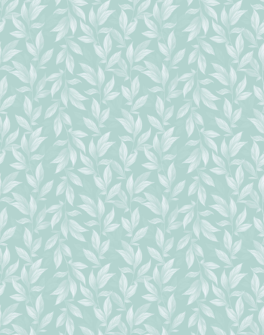 Vine