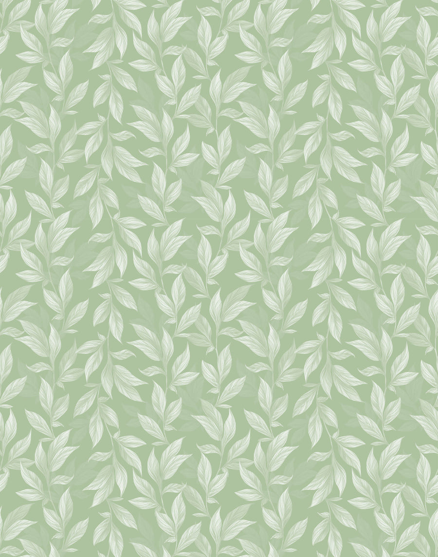 Vine