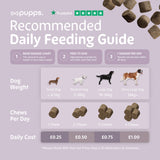 Itch Relief Treats