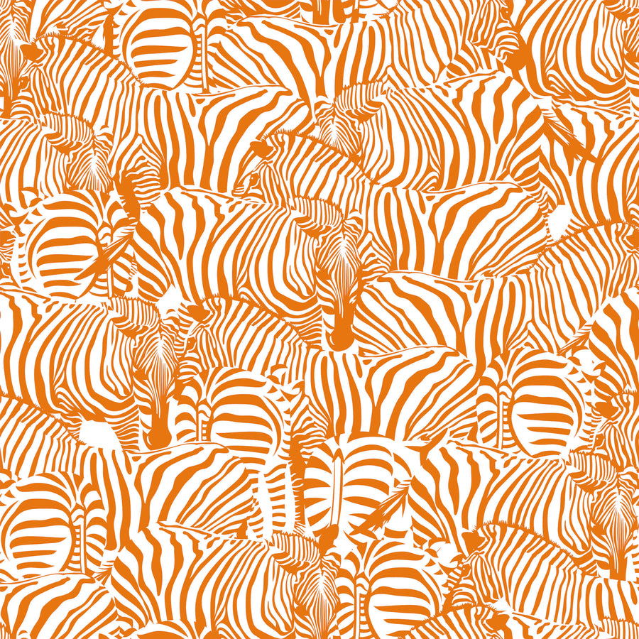 Zolta