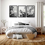 Art In Frames | Set of 3 Botanical Wall art Prints