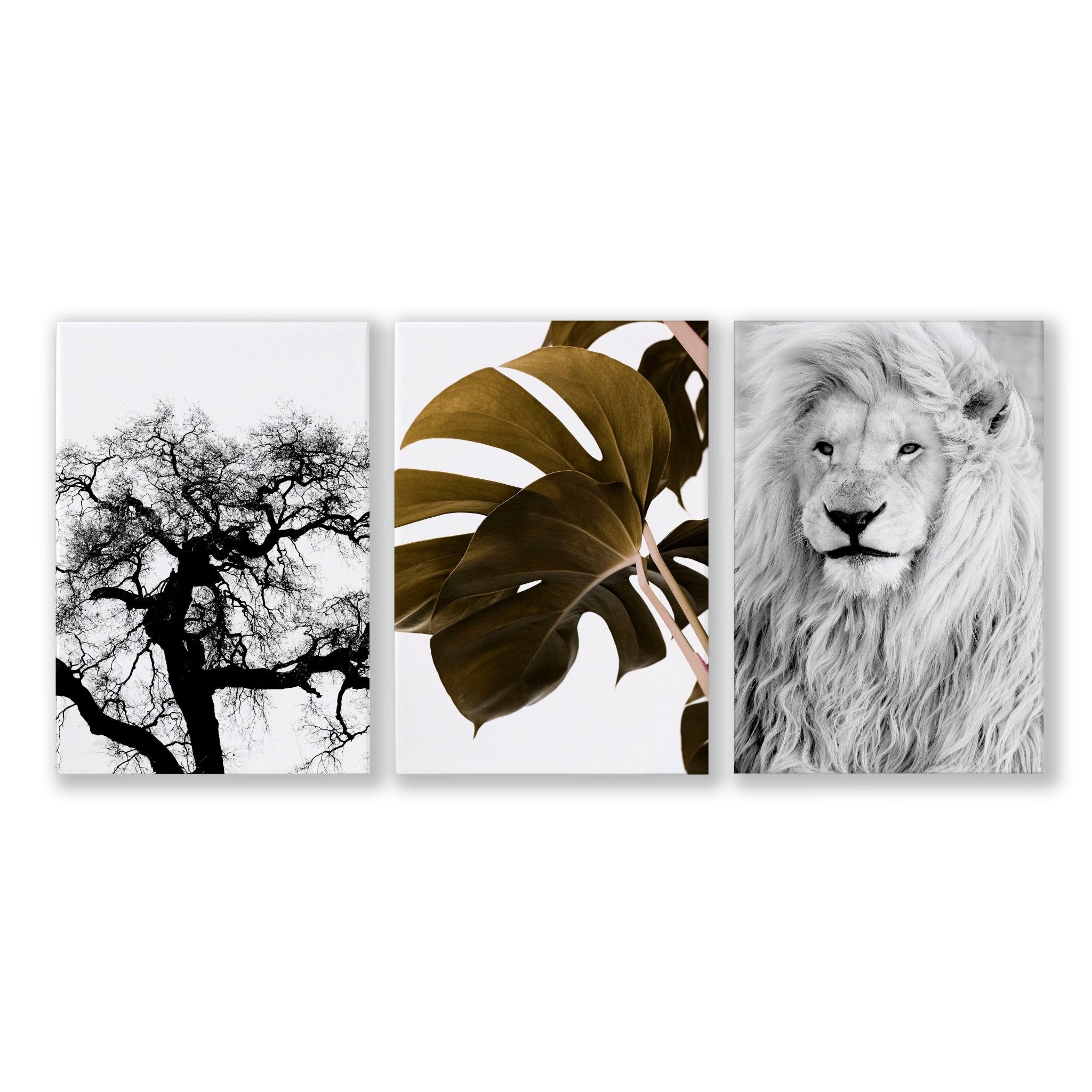 Bedroom Art Work decor | Set of 3 Wildlife Wall art Prints