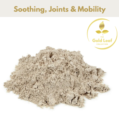 Boswellia Powder