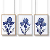 Canvas Art Wall Prints | Set of 3 Botanical Wall art Prints